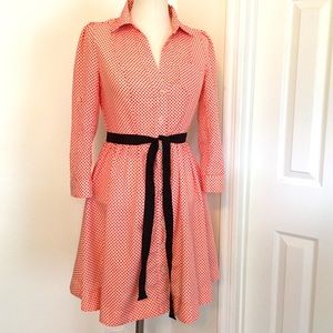 Spring polka dot dress